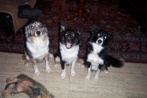 300Die Drei aus dem Abendland.jpg